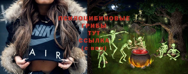 ешки Ладушкин