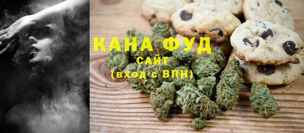 прущие грибы Бородино